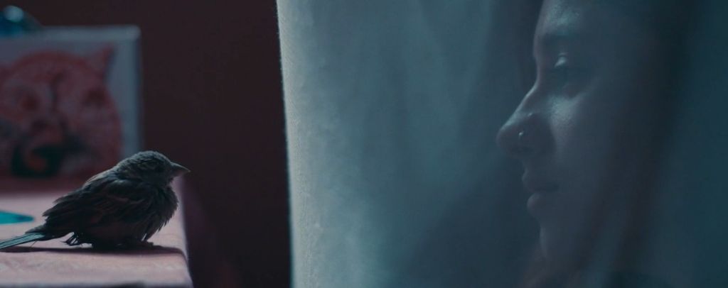 Romantic Affairs. Director Monjul Baruah / Assamese